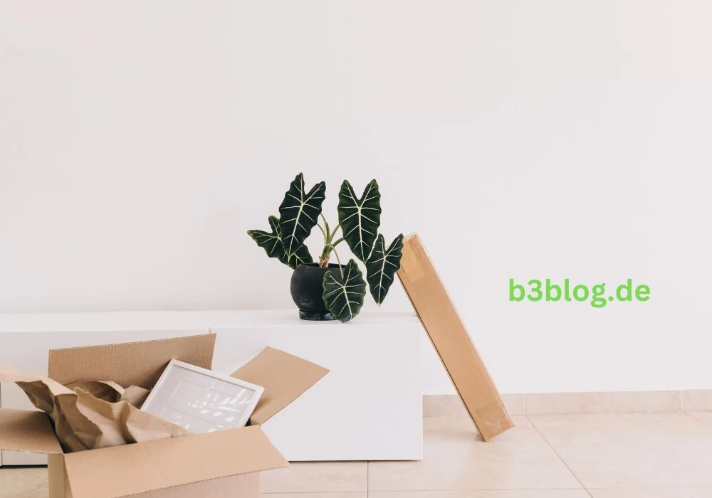 Beta-3-Blog is moving